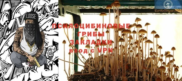 индика Абдулино