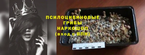 МДПВ Алексин