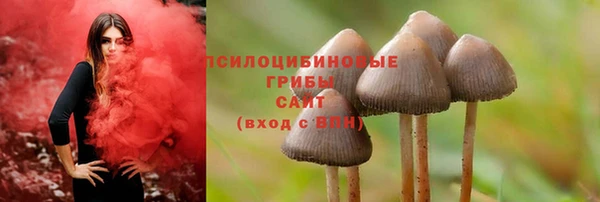 индика Абдулино