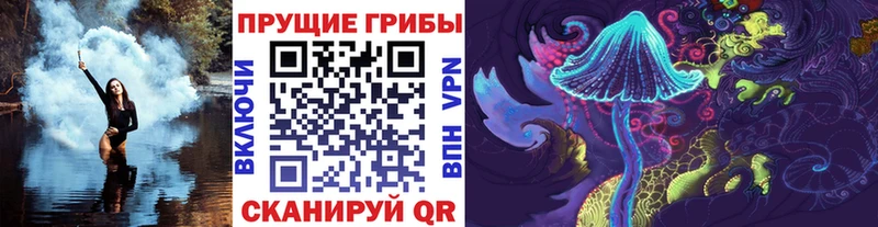 купить закладку  kraken tor  Галлюциногенные грибы мицелий  Пыталово 