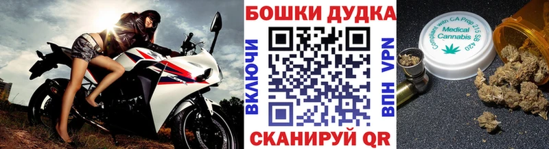 Шишки марихуана Ganja  Пыталово 